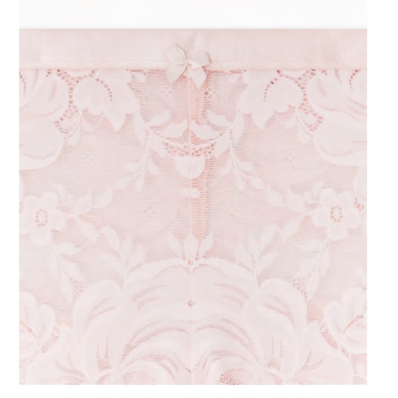 Torrid Size 1 Lotus Pink Lace Cheeky Panty NWT - Picture 4 of 6